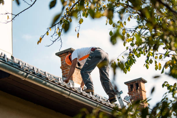 Residential Roof Replacement in Presquille, LA