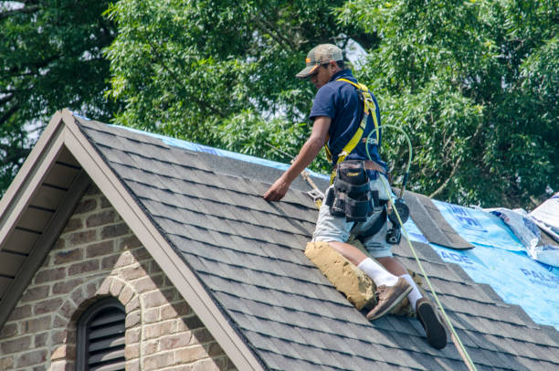 Best Roof Waterproofing Services  in Presquille, LA